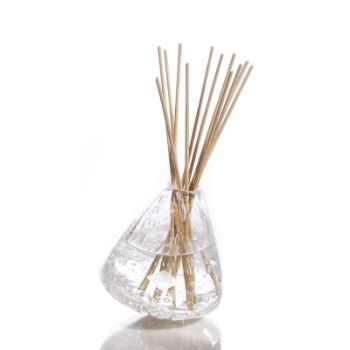 Picture of Diffuser Glass Vase by Alixx